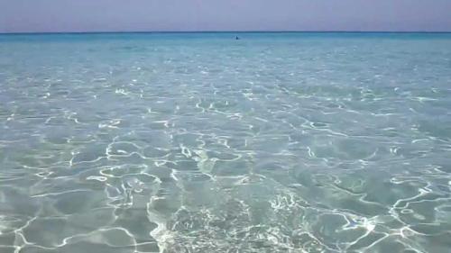 Gallipoli Lido