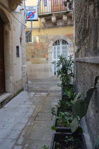 Casa Minerva