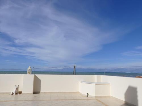 Acharavi, villa next to the beach, Acharavi (foto 8)