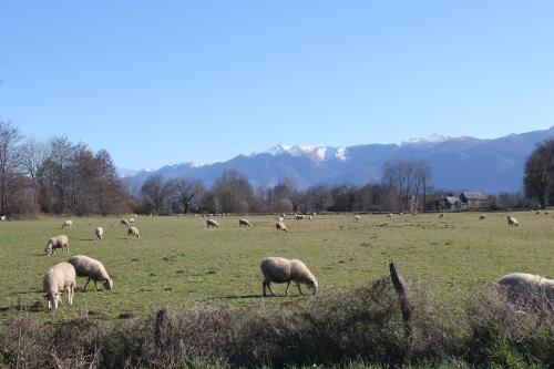 Gîtes L'Escargot Bleu