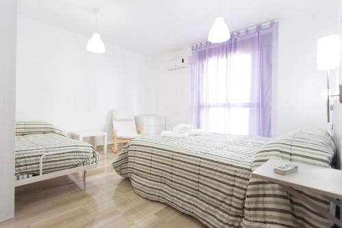 C&V Apartamentos - Horno de Marina - image 11