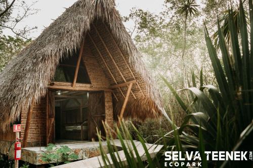 Selva Teenek Eco-Park Ciudad Valles