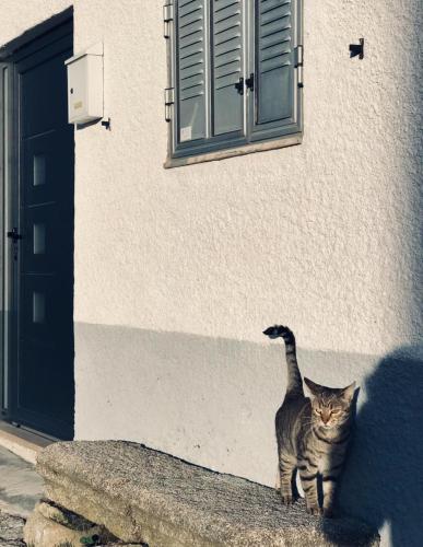 ทางเข้า, Casa Nazare in กาสเตโล โรดริโก