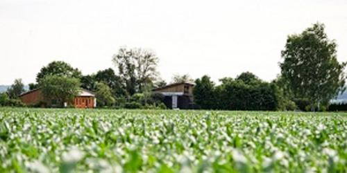 Demeterhof Dünninger in Hofheim in Unterfranken, Deutschland