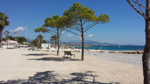 La Studette Marina 06