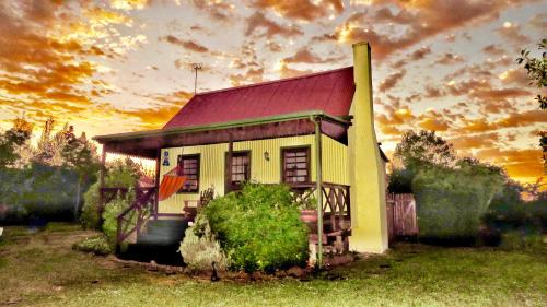 Forest Edge Forest Edge