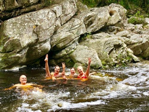 Forest Edge Forest Edge