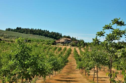 Agriturismo Belsito Pian Di Boccio