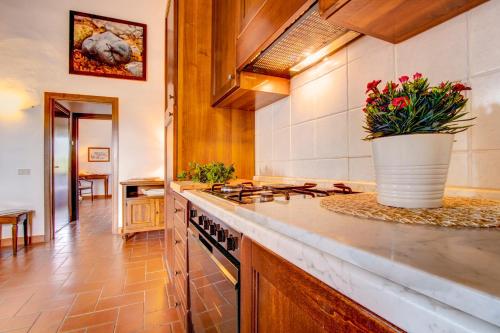 Agriturismo Filettro - image 12