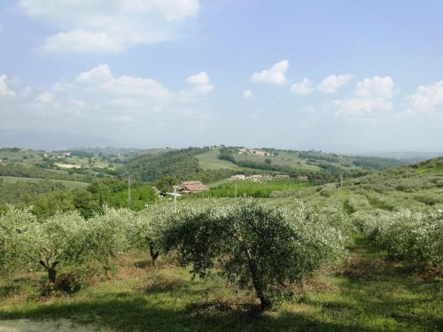 Agriturismo Belsito Pian Di Boccio