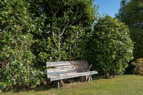  VILLA CAMELIA - GOLF NEARBY in Santo da Serra