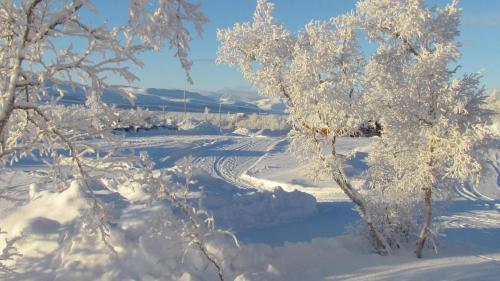 Surrounding environment, Guesthouse Haltinmaa in Kilpisjarvi