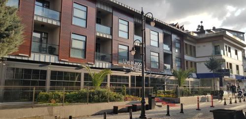 The Elegant Hotel - image 12