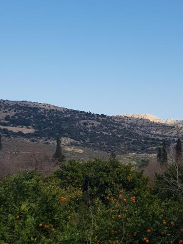  Polinas House in Malona Village