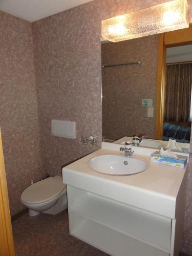 Superior Double Room with Balcony and Eiger View