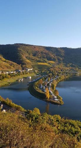 Gast und Weinhof Beim Schneemann - image 6