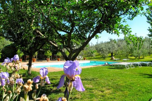 Agriturismo Filettro - image 11