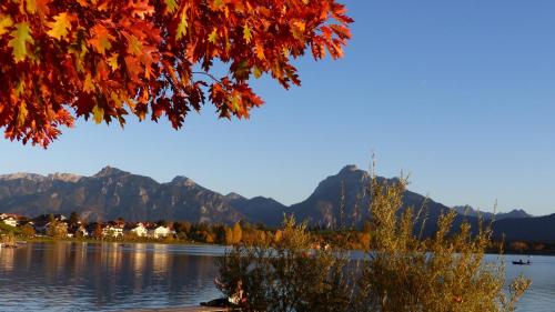 Ferienwohnung Allgäuer Landhaus Stocker in Hopferau-Füssen