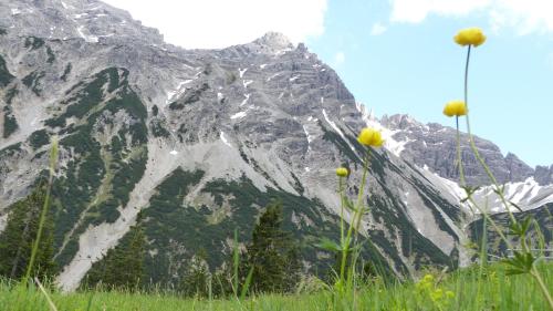 Ferienwohnung Allgäuer Landhaus Stocker in Hopferau-Füssen