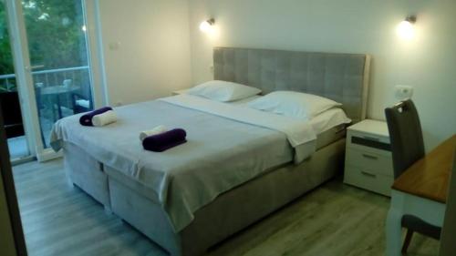 Apartments with a parking space Gradac Makarska - 16263