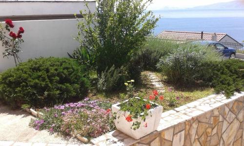 Apartments with a parking space Senj - 16365 - image 7