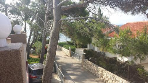 Apartments by the sea Vir - Kozjak Vir - 16386 - image 2