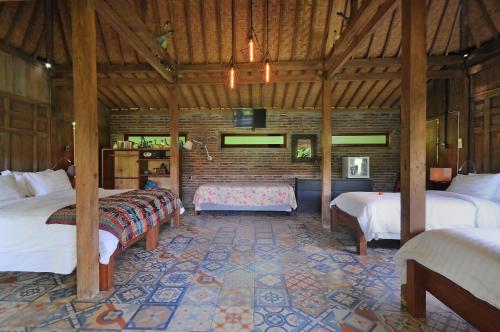 2 king beds, 1 twin bed