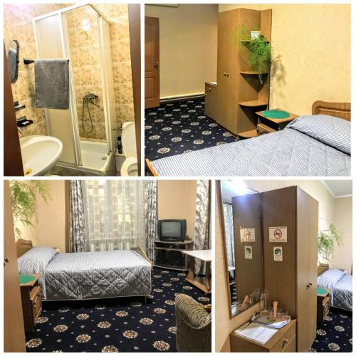 Mini-Hotel Zolushka