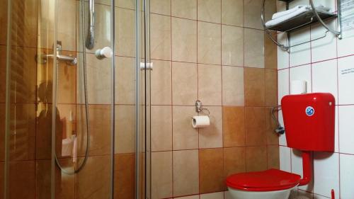 Pensiunea Paloma 3 stele Brasov - image 11