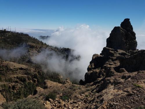 Rickaty Lodge Bed and Breakfast, Airport Hotel, Hotel de aeropuerto, Las Palmas Airport, Gran Canari