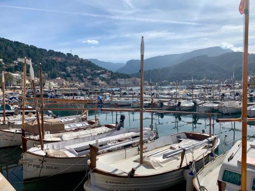 Soller Plaza - main image