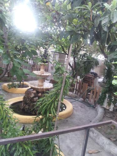 Mana Guest House - image 9