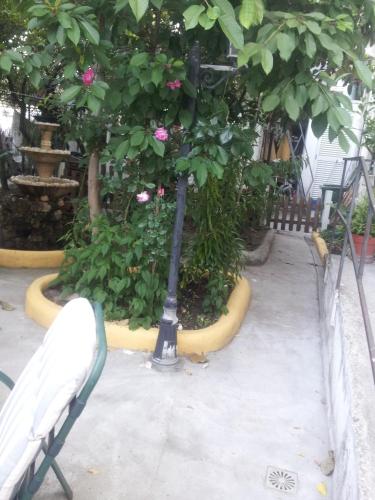 Mana Guest House - image 12