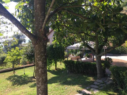 Chalet O Botanico