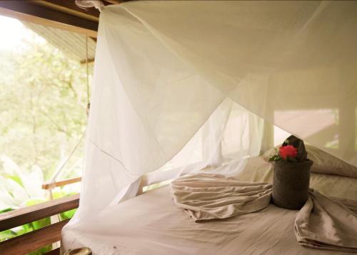 Amazonita Ecolodge Amazonita Ecolodge