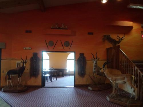 King's Inn – Cody, WY