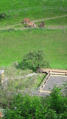 A környék, Emmerich`s Ferienwohnung in Kassel