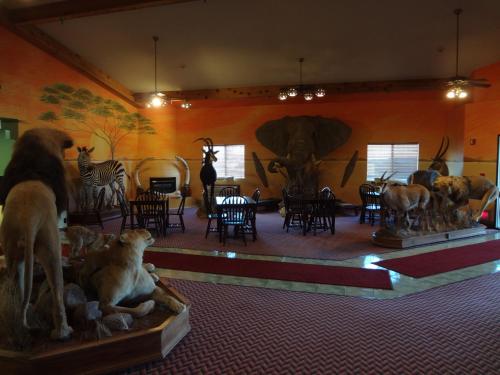 King's Inn – Cody, WY