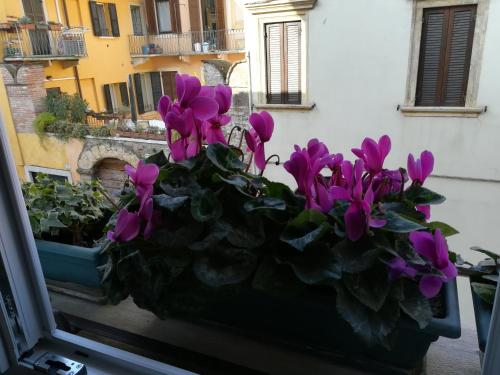 A casa di Luca, Verona (foto 4)