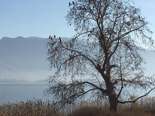 The Little Stone House by the Lake