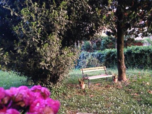 VIAMILANO25 - image 5