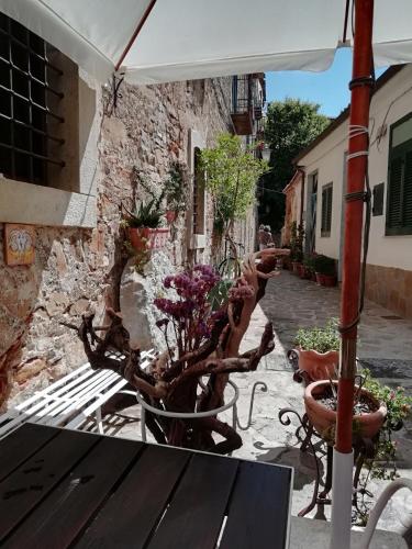 Cilento Coast, Palazzo Pisani Pollica -Salerno-Campania-Italy – Pollica, UT