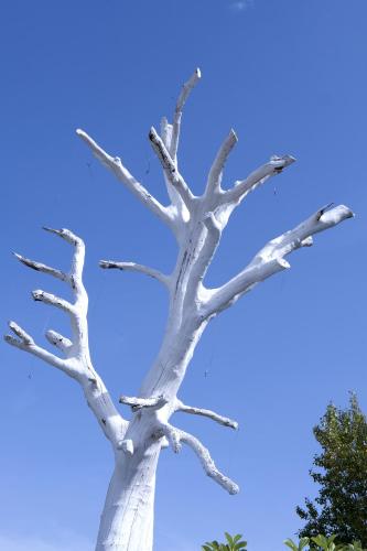 Fattoria Santa Lucia Borgo alla Cantina - image 7