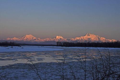 Talkeetna Fireweed Cabins