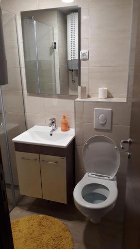 Apartman Radojević Vila Darija - image 3