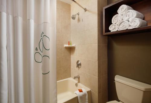 Great Wolf Lodge Pocono Mountains Pa Hotel Stroudsburg Pa