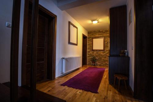 Villa 'Iva' in Mavrovo