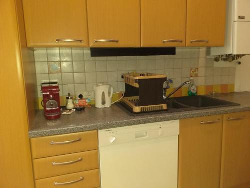 Ferienwohnung Schloessel 26/18, Vídeň (fotografie 6)