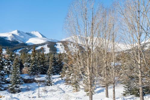 B&B Breckenridge - Mountain Valley Lodge - Bed and Breakfast Breckenridge