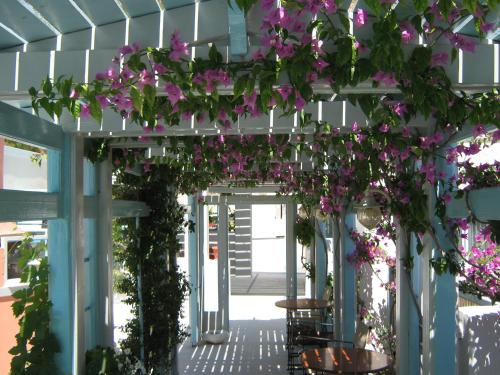Villa Anneta - image 3